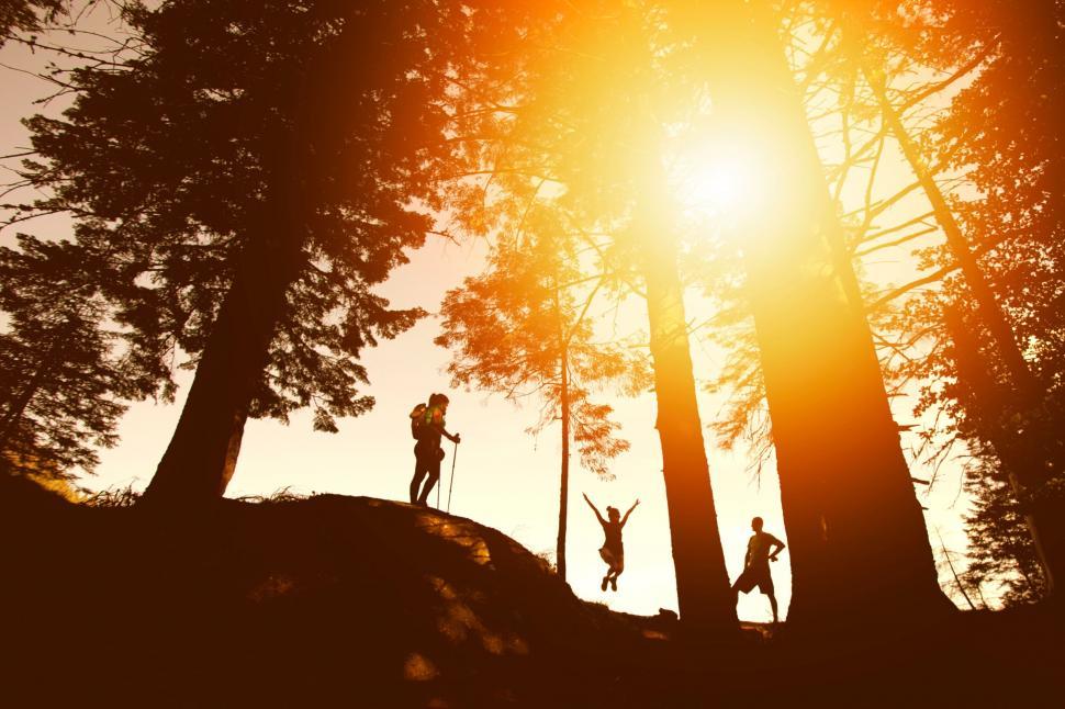 Free Image of Silhouetted family enjoying a sunset forest 