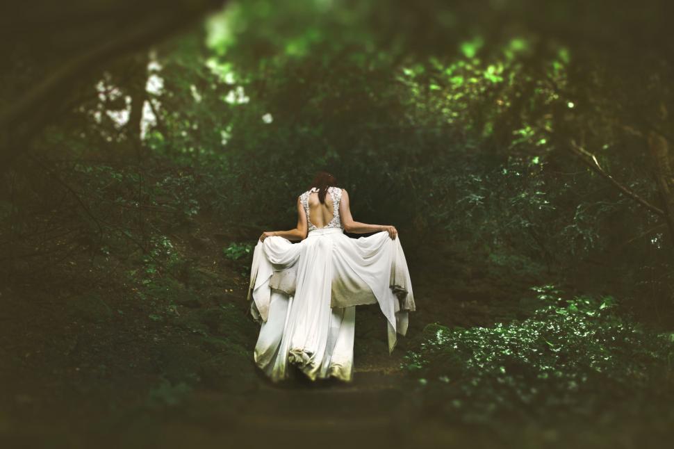 Free Image of Bride in a forest with a back view 