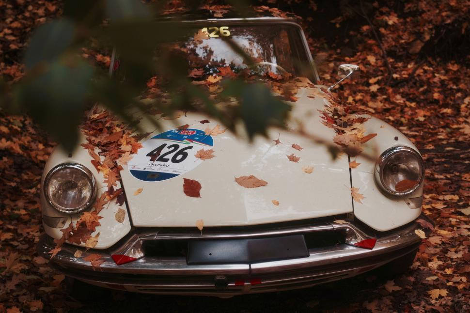 Free Image of Vintage car covered with autumn leaves 