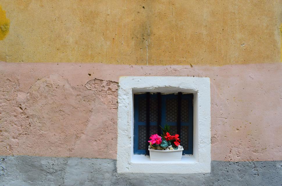 Free Image of Quaint window with flower pot in old wall 