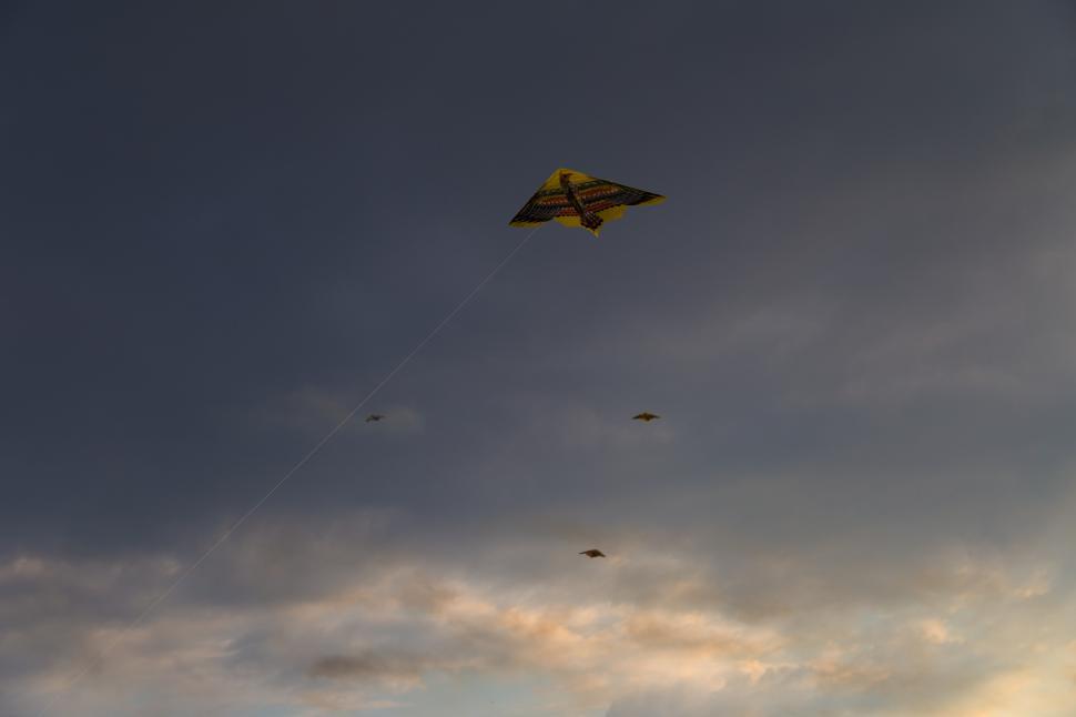Free Image of A kite in the sky 