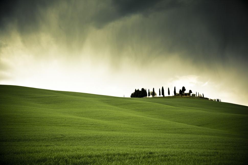 Free Image of A green field with trees and a cloudy sky 