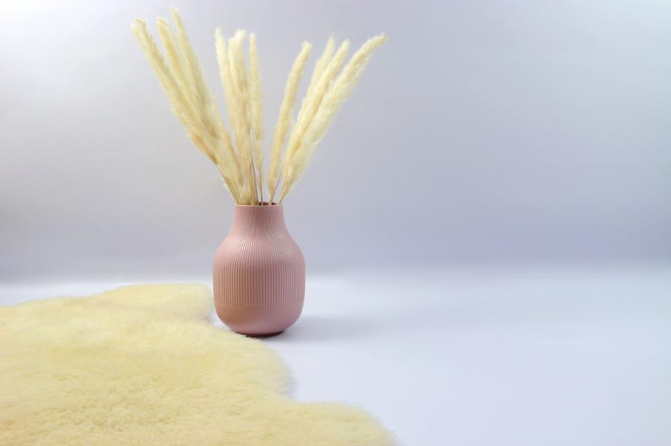 Free Image of Minimalistic vase with dried pampas grass 