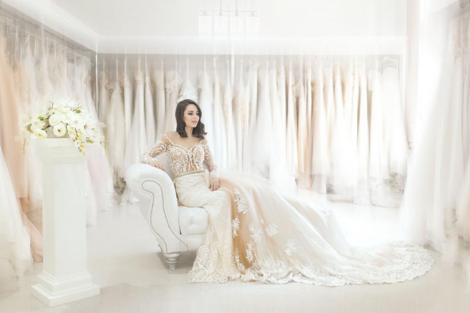 Free Image of Bride in a lavish wedding gown 