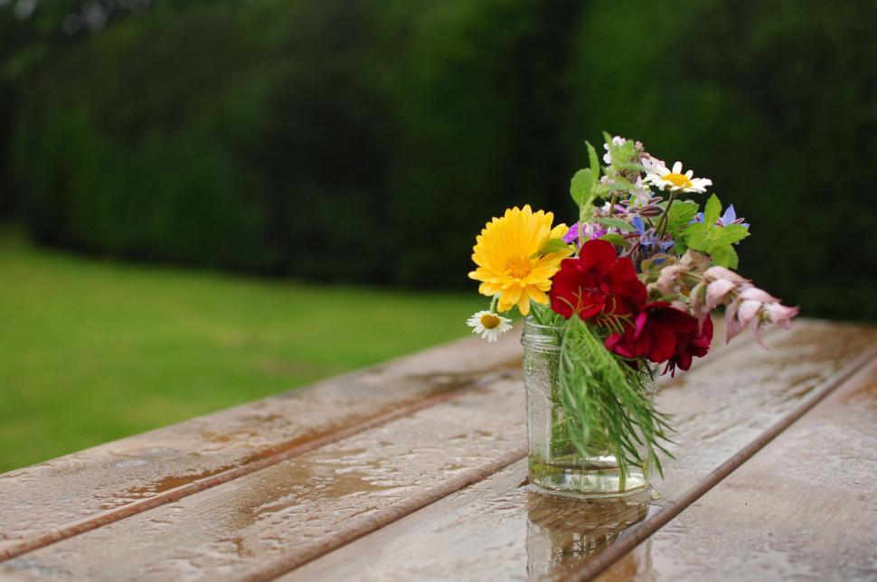 Free Image of Vibrant wildflowers in a mason jar on a bench 
