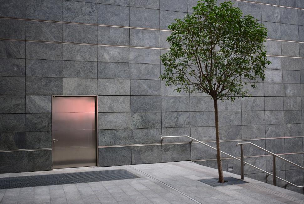 Free Image of Tranquil tree by modern building entrance 