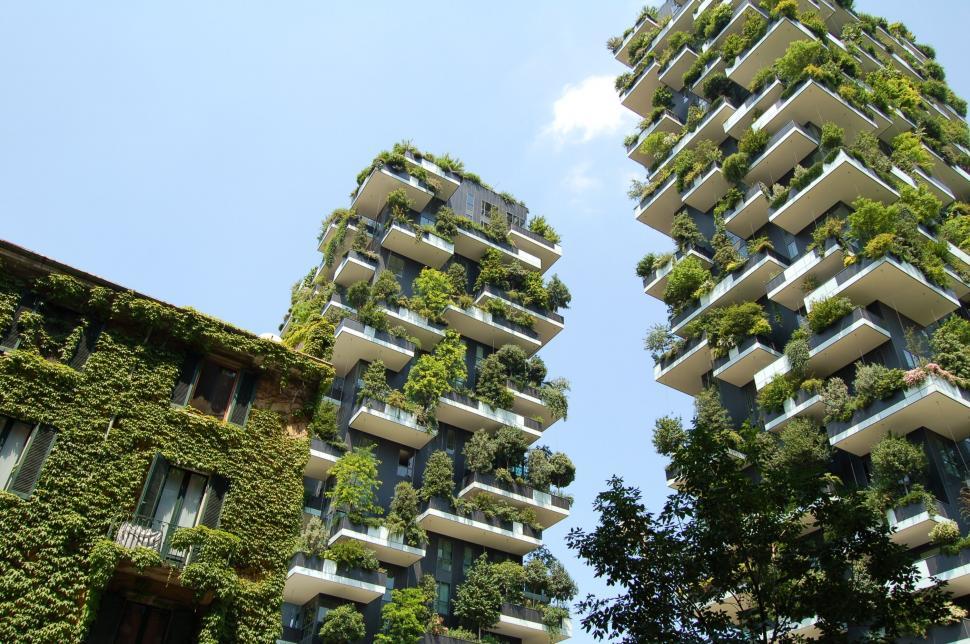Free Image of Lush green living walls on urban buildings 
