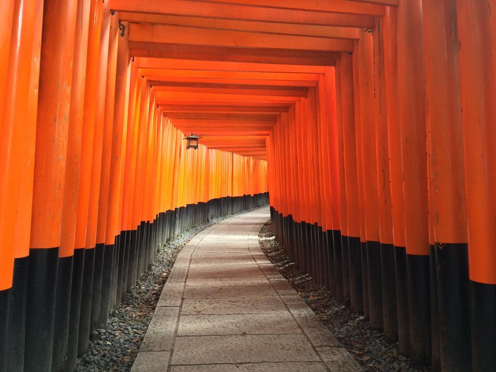 Free Image of Orange torii gates tunnel in Japan 