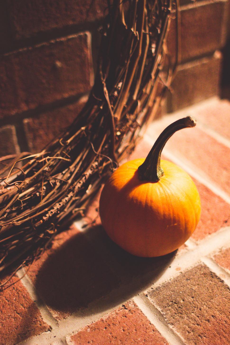 Free Image of Pumpkin and twisted branches on brick 