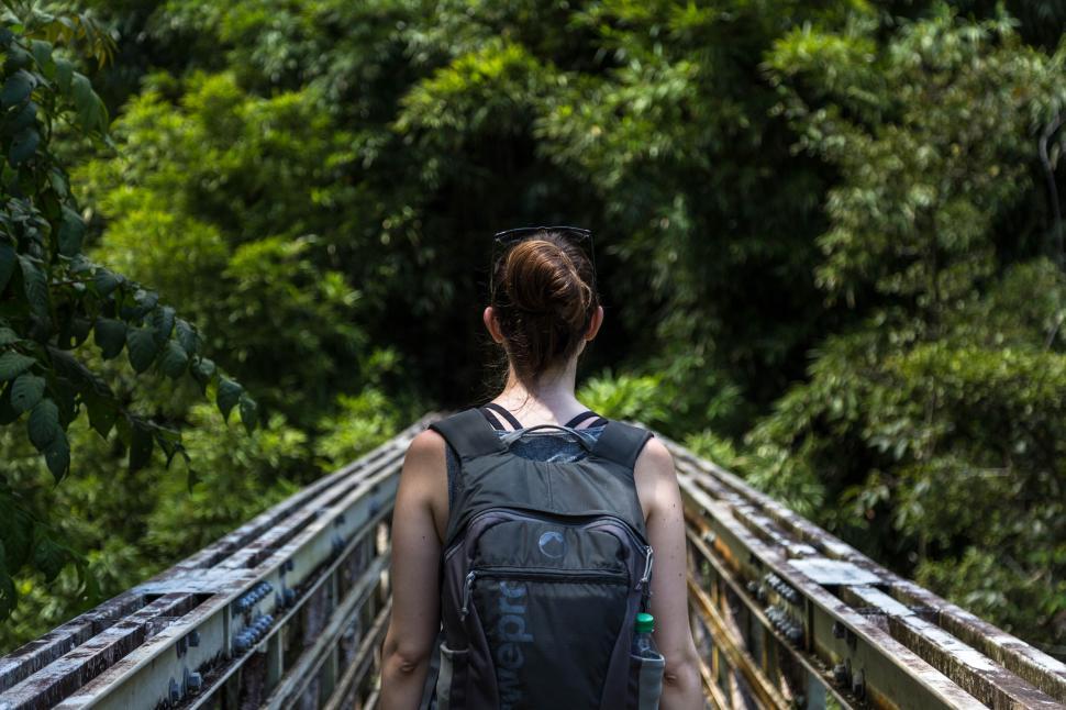 Free Image of Backpacker looking over a jungle bridge 
