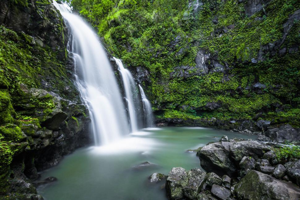 Free Image of Lush waterfall in a green forested area 