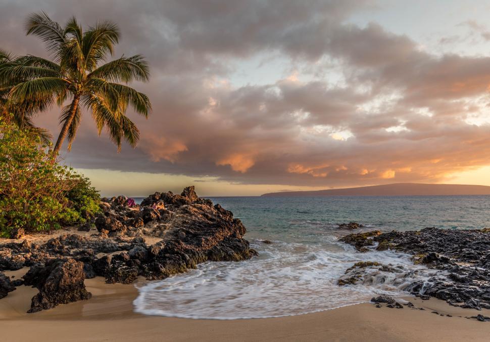 Free Image of Tranquil beach sunset with palms and waves 