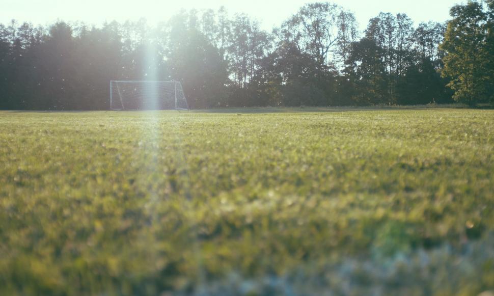 Free Image of Sunlit soccer field with empty goal 