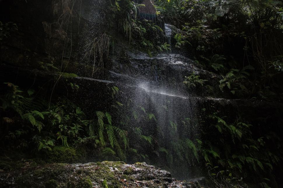 Free Image of Lush waterfall amidst dense green ferns 