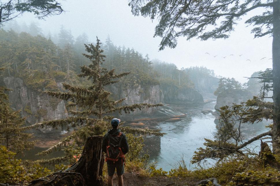 Free Image of Hiker overlooking misty forest coastline 