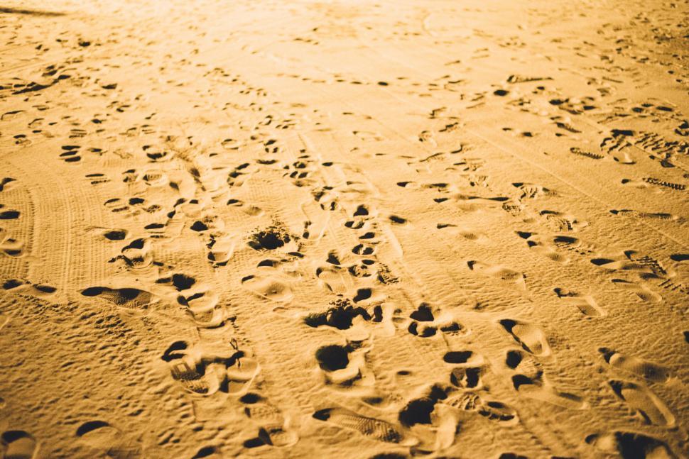 Free Image of Footprints scattered on sandy beach 