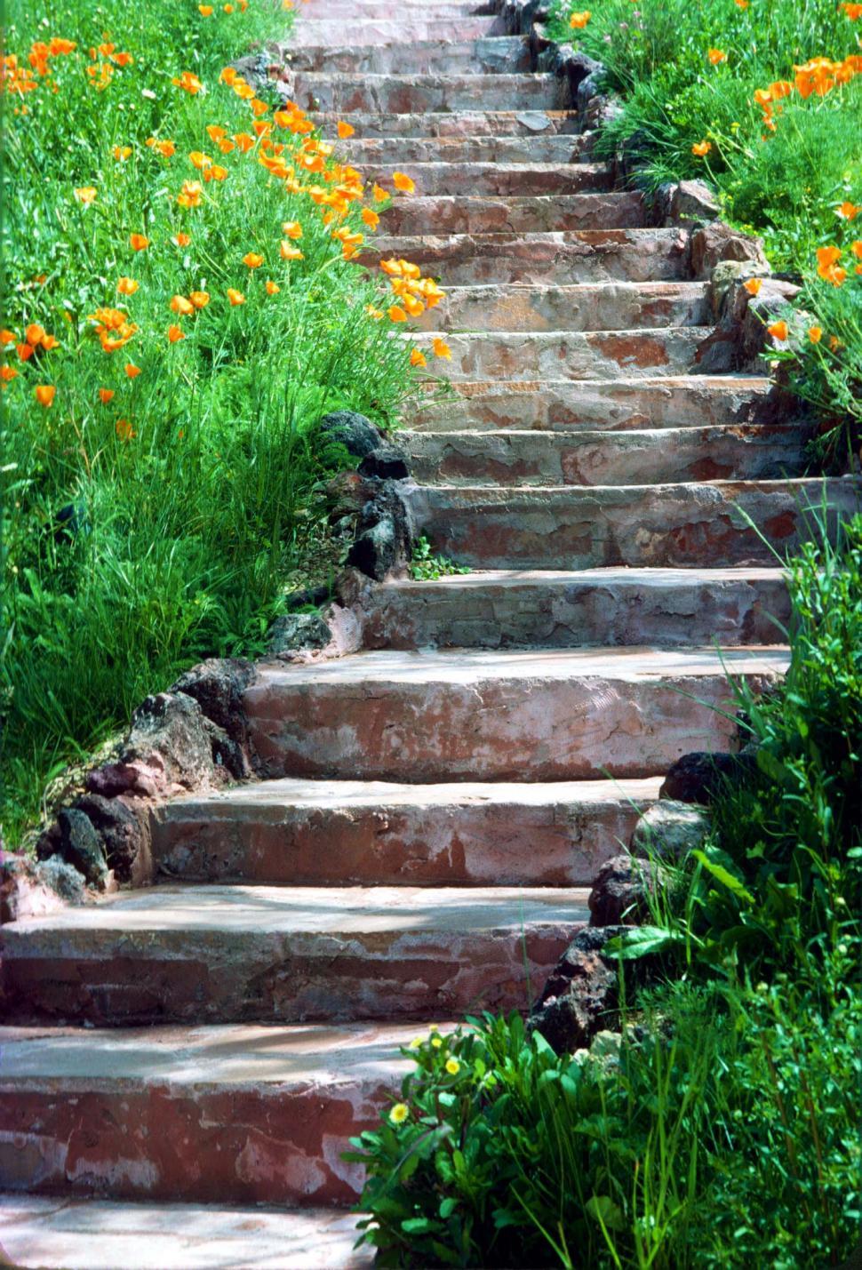 Free Image of Stone Steps Leading to Lush Green Field 
