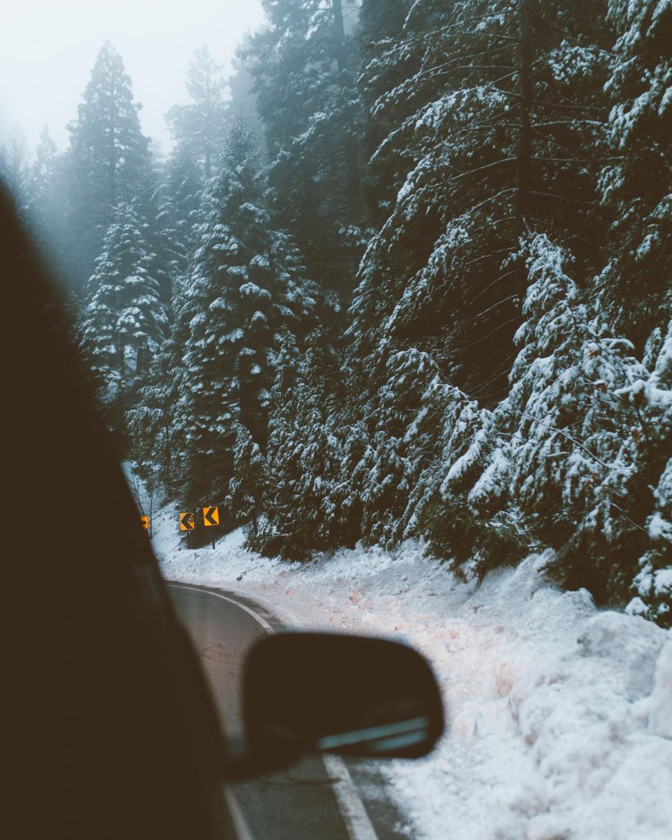 Free Image of Snowy road through a forest from car 