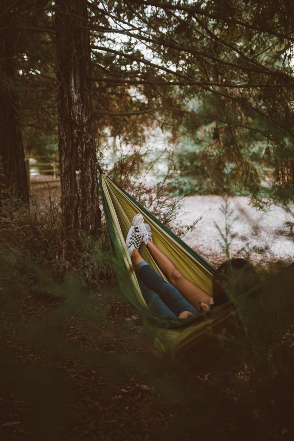Free Image of Relaxing hammock in a serene forest setting 