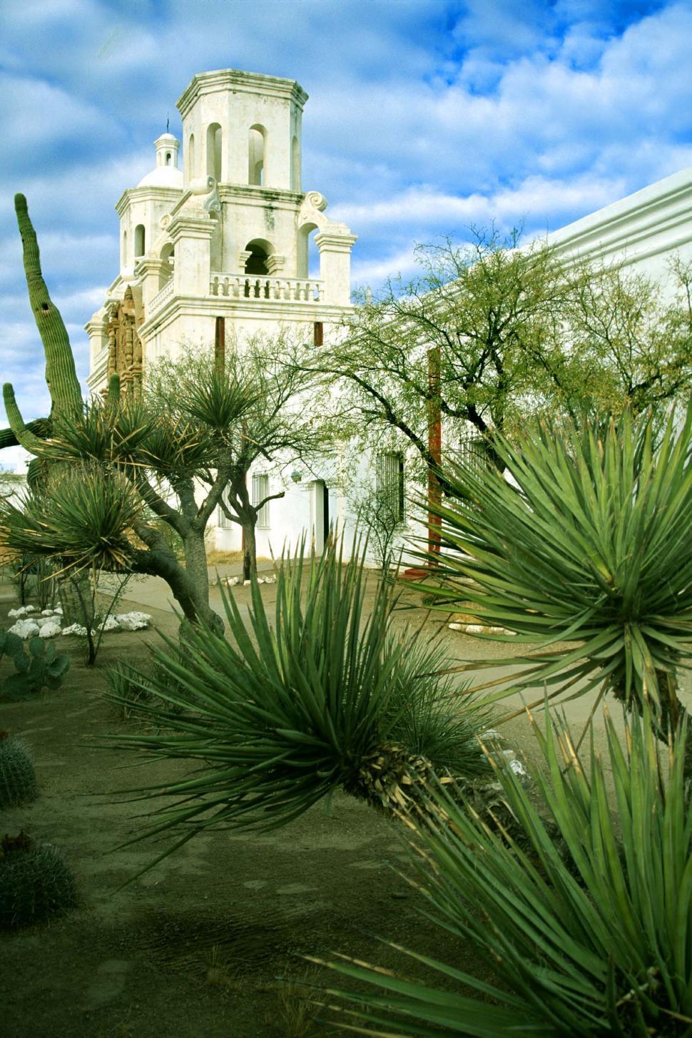 Free Image of Desert plants and Mission San Xavier 