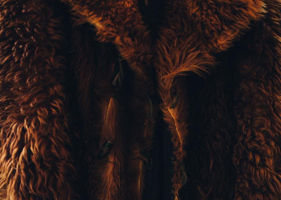 Free Image of Close-up of a thick fur texture detail 
