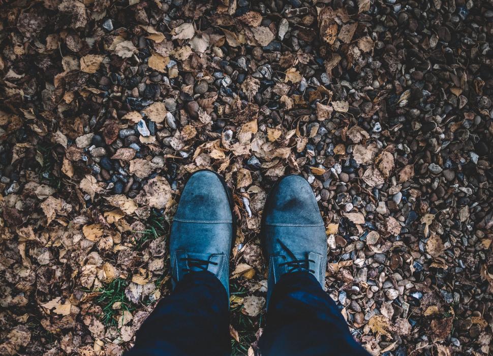 Free Image of Blue suede shoes on autumn leaves ground 