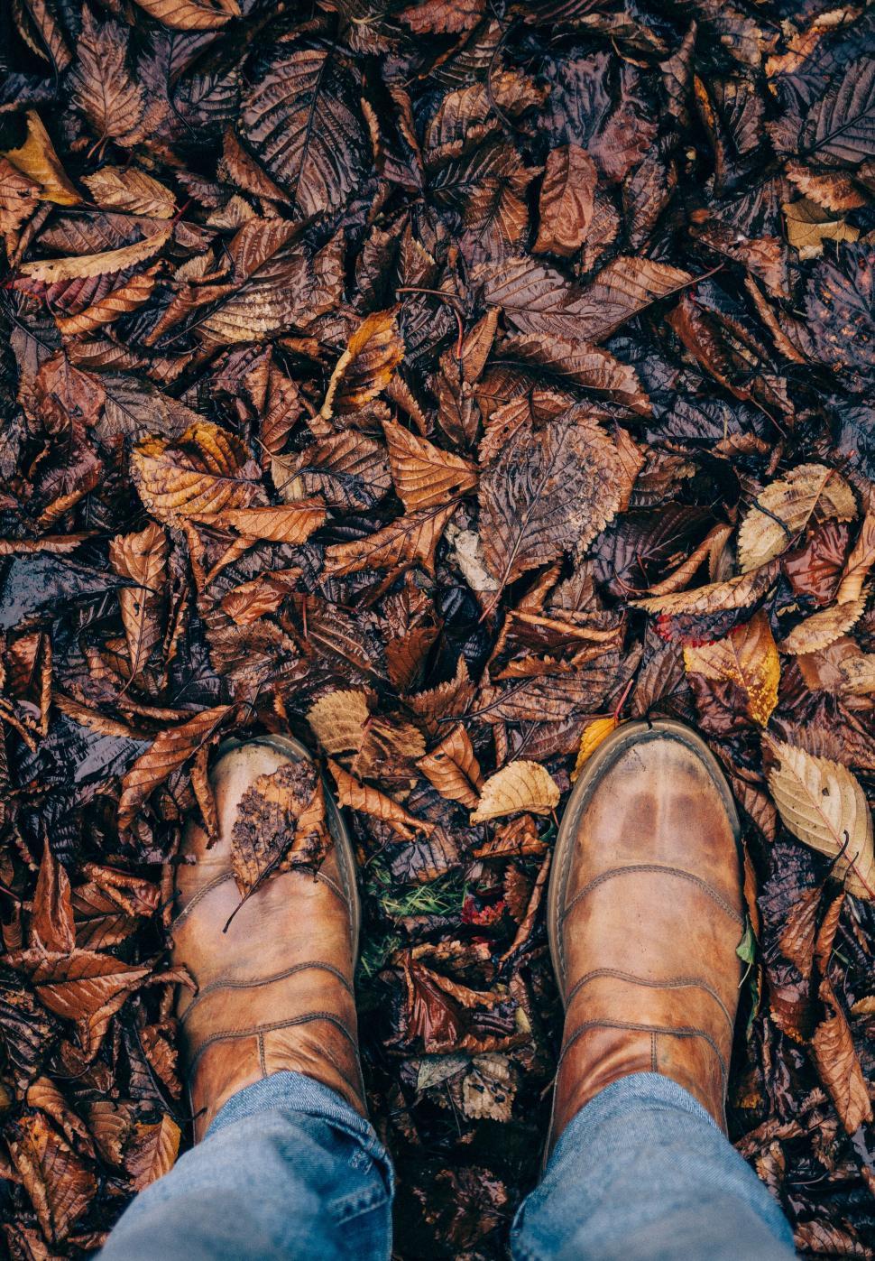 Free Image of Autumn vibes with boots stepping on fallen leaves 