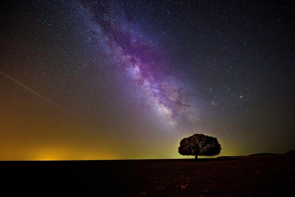 Free Image of Starry night sky over solitary tree 