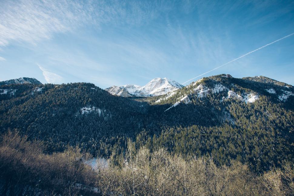 Free Image of Snow-capped mountains over pine forest 