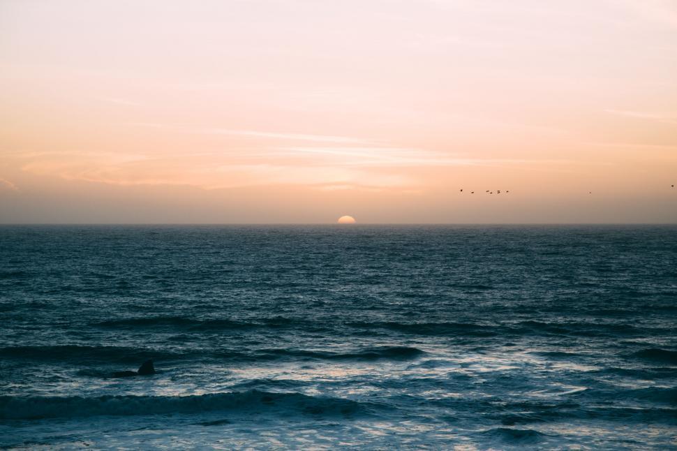 Free Image of Sunset over the ocean with birds flying 