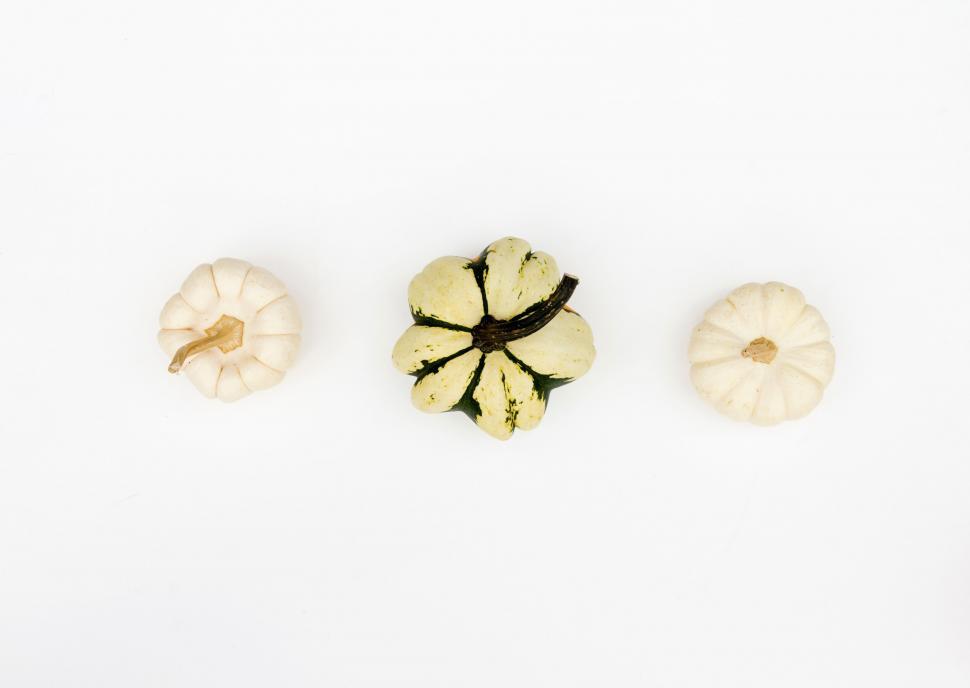 Free Image of Three different ornamental pumpkins on white 