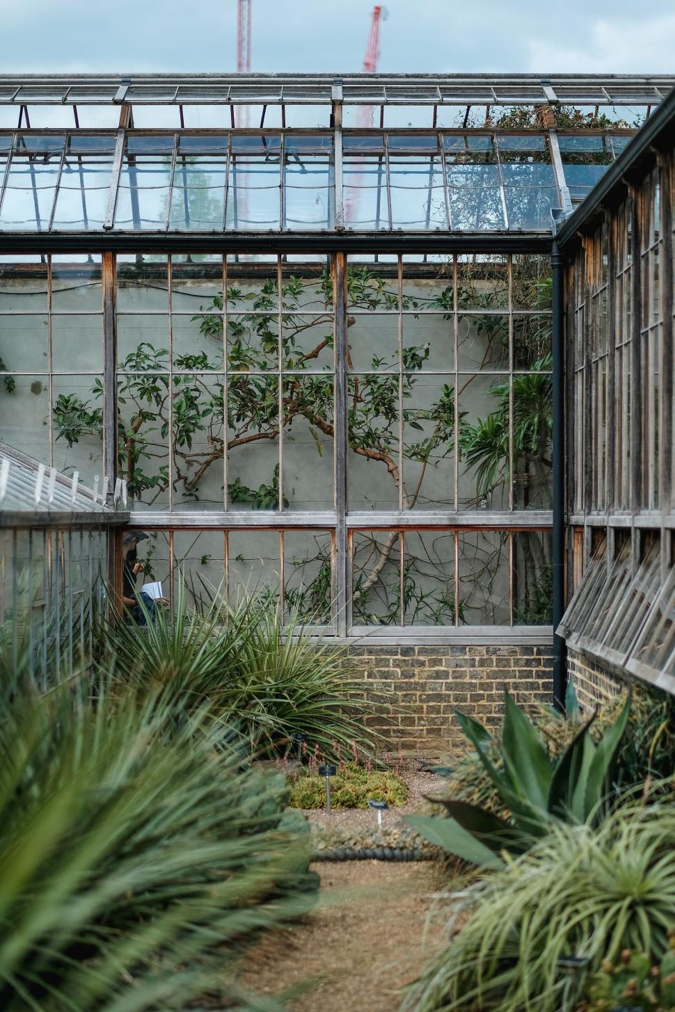 Free Image of Greenhouse with plants in urban garden 
