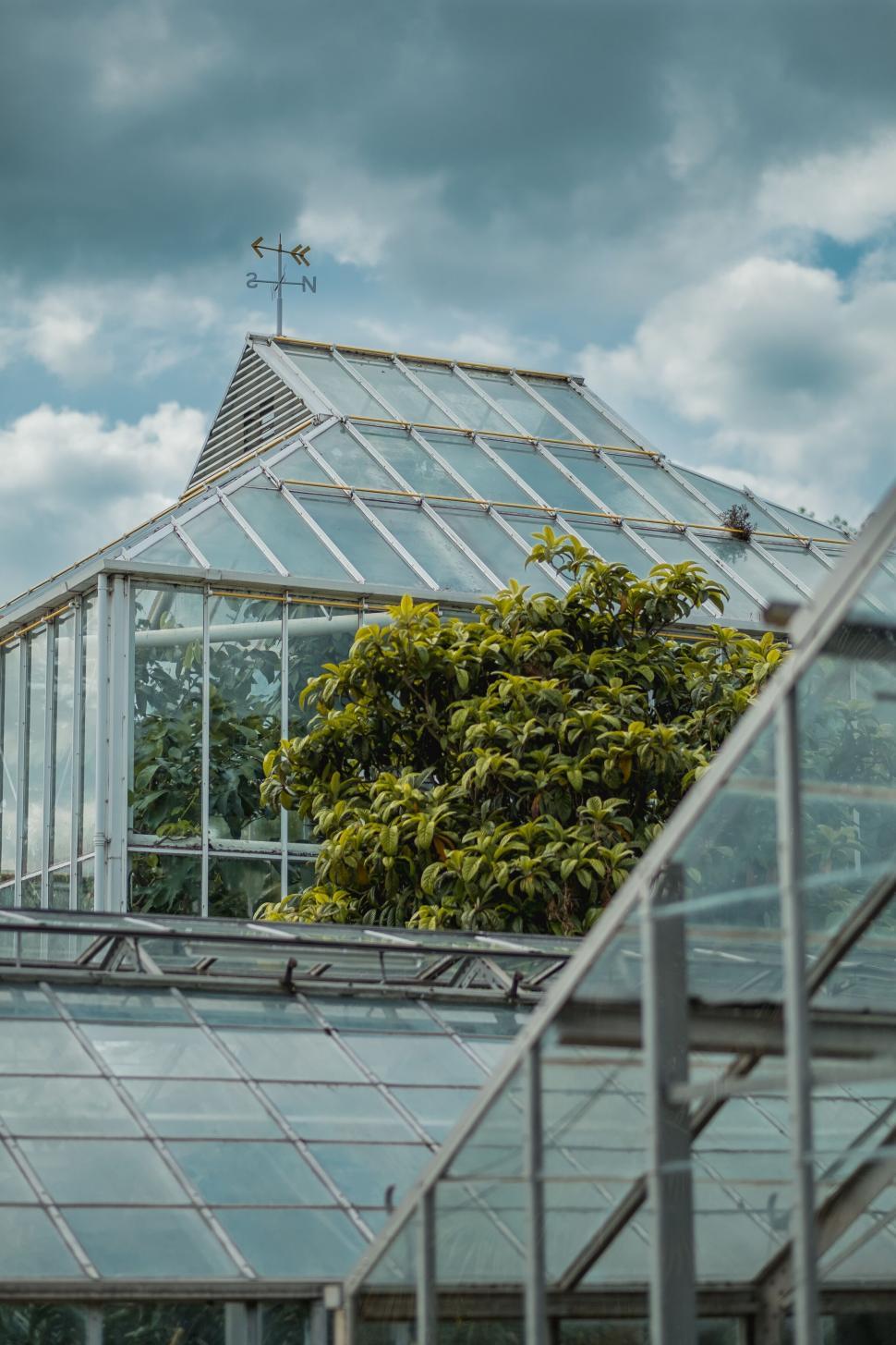 Free Image of Glasshouse with lush greenery and weather vane 