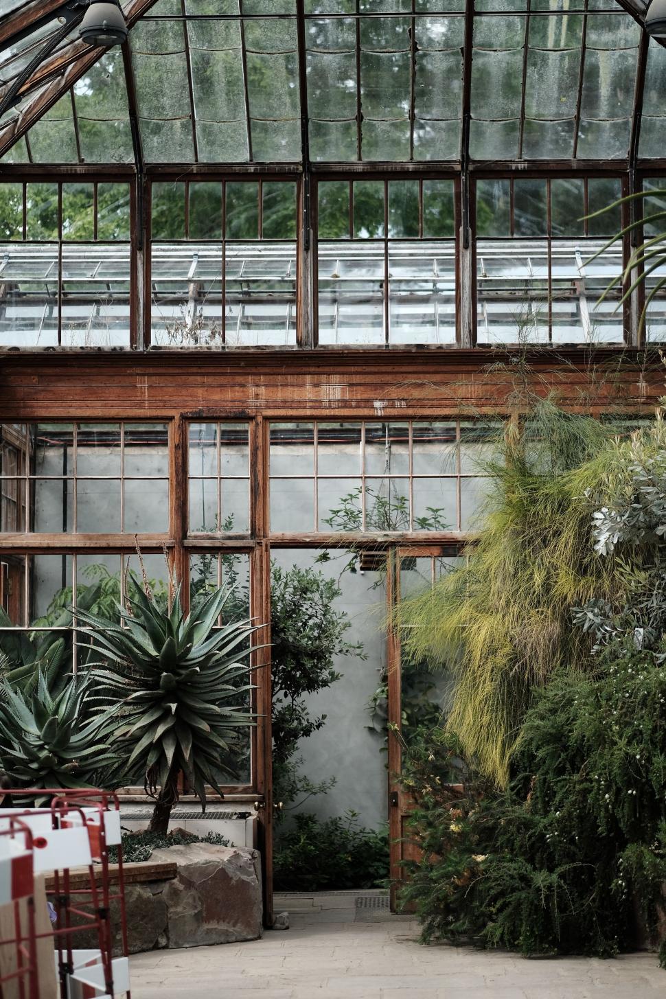 Free Image of Lush greenhouse with steam and plants 