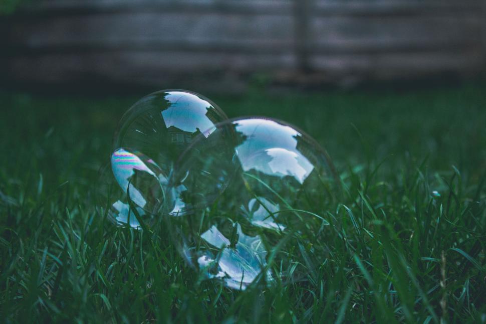 Free Image of Transparent bubbles resting on grass 
