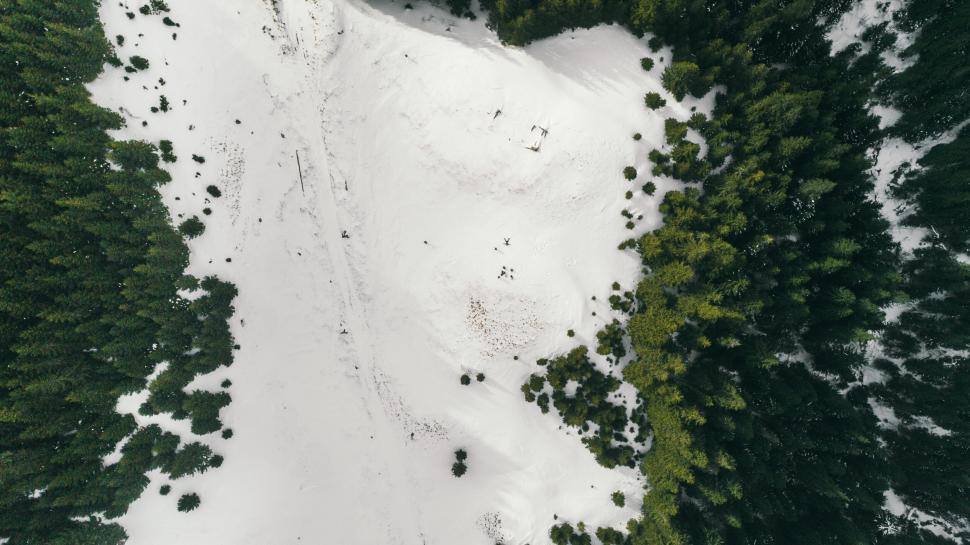 Free Image of Aerial view of snowy landscape with trees 