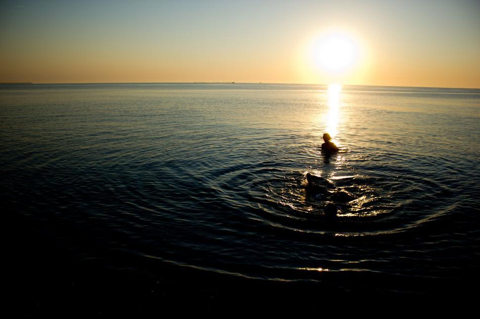 Free Image of Person swimming in the ocean at sunset 