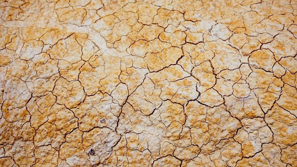 Free Image of Desert cracked ground texture from a dry area 