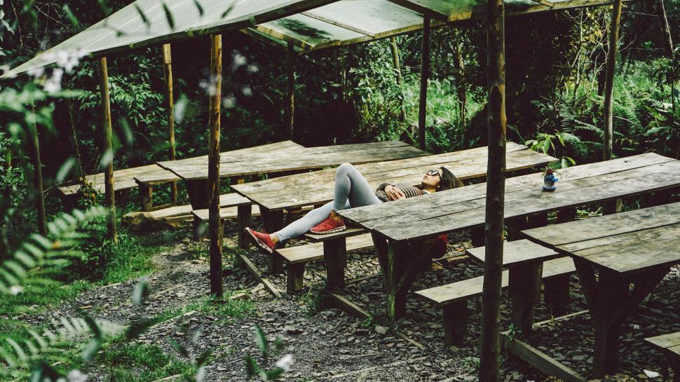 Free Image of Person resting on wooden bench in nature 