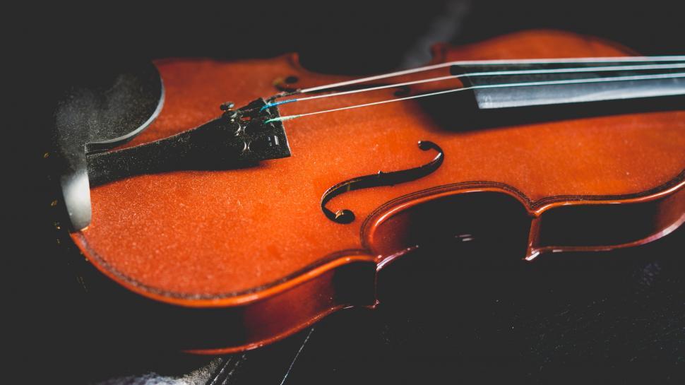 Free Image of Close up of a classic violin on dark background 