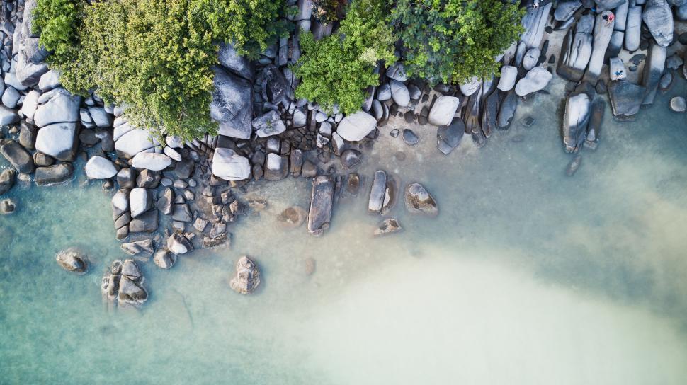 Free Image of Aerial view of rocky shoreline and forest 