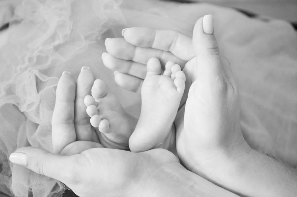 Free Image of Newborn baby feet cupped in mother s hands 