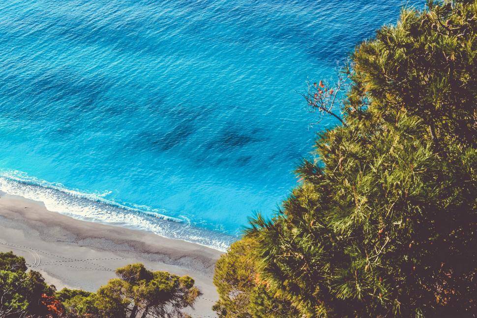 Free Image of Coastline view with turquoise water and trees 