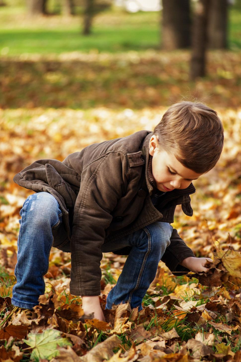Free Image of Child playing with autumn leaves in park 