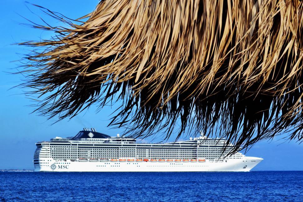 Free Image of Cruise ship seen from behind a palm thatch 