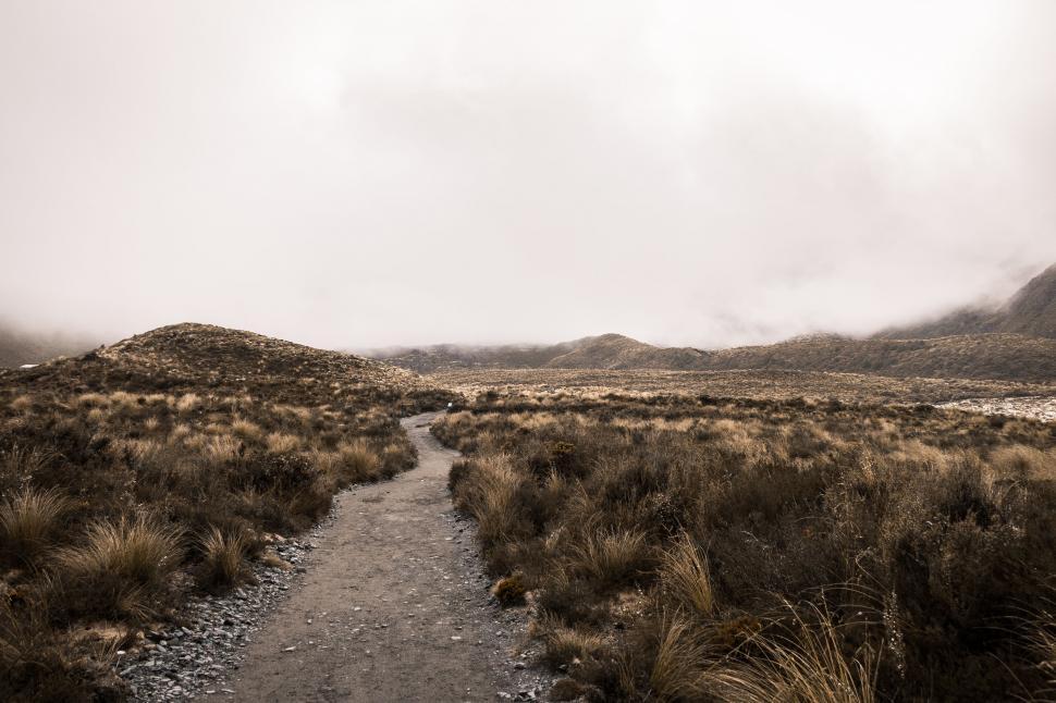 Free Image of Foggy mountain path through grassy terrain 