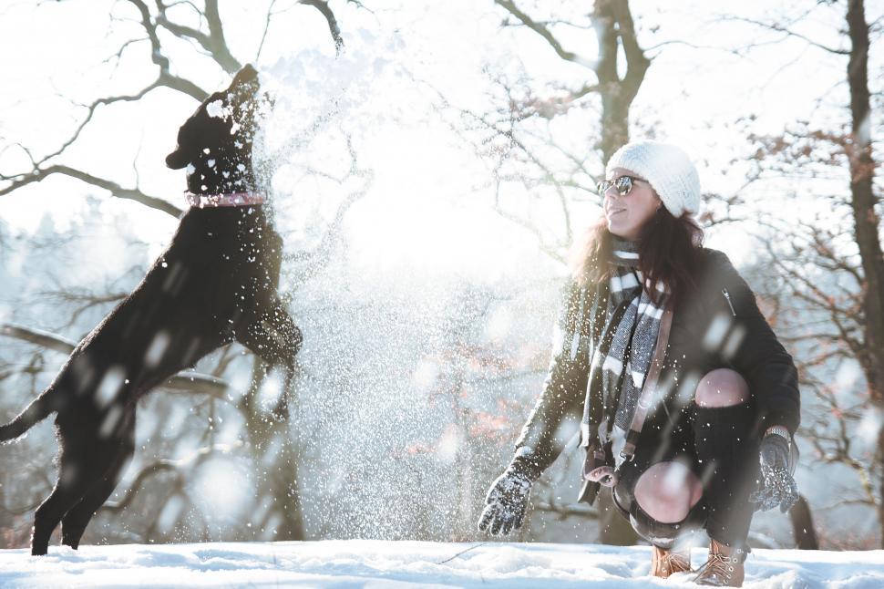 Free Image of Woman playing with dog in snowy park 