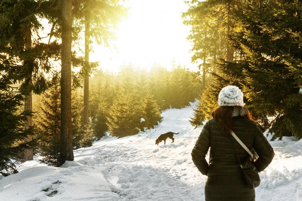 Free Image of Woman with dog on snowy forest pathway at sunset 