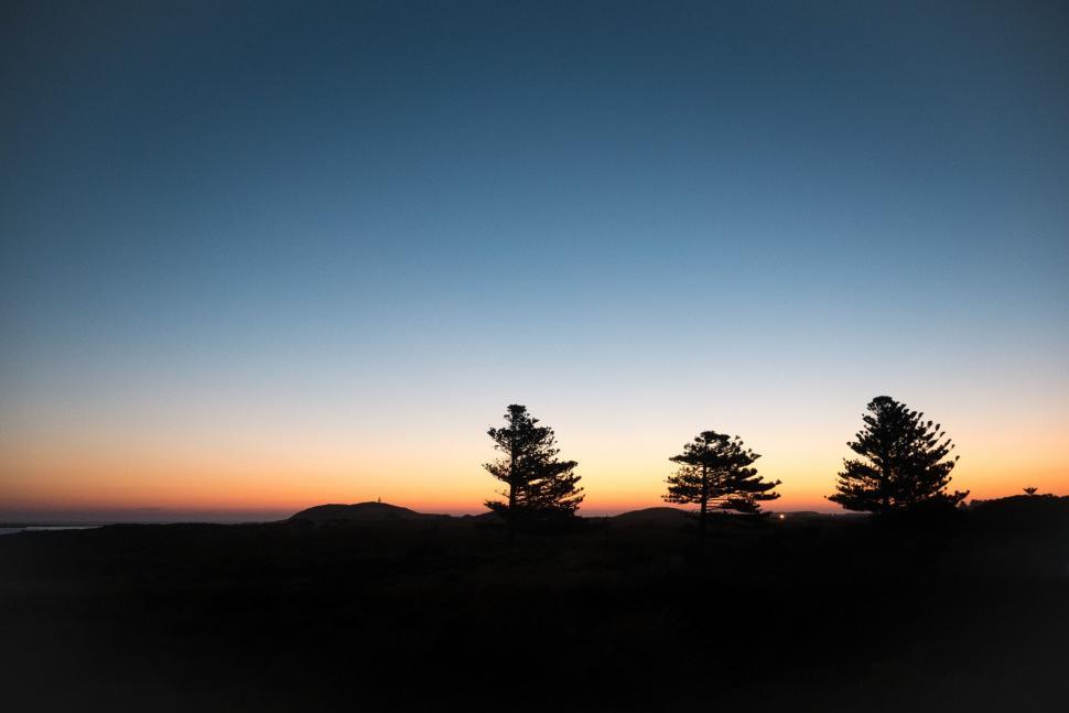Free Image of Silhouettes of trees against sunset sky 