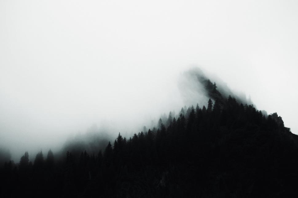 Free Image of Misty forested mountain in mystery 
